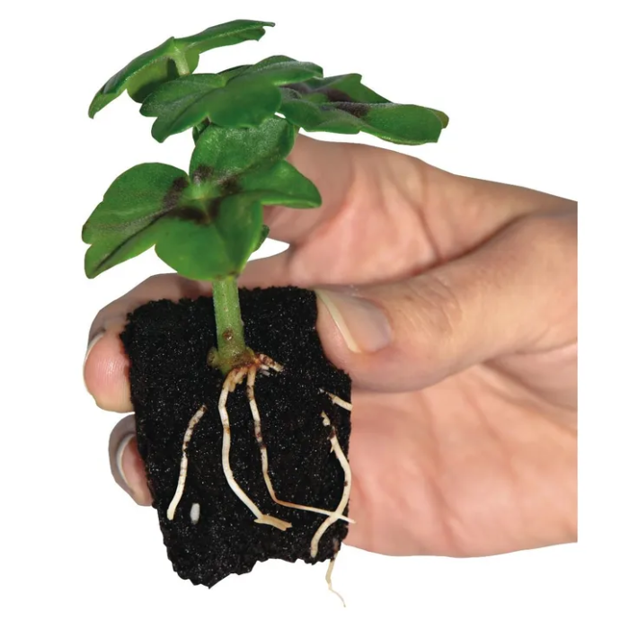 Root It! Peat Free 60 Refill Bag - My Store