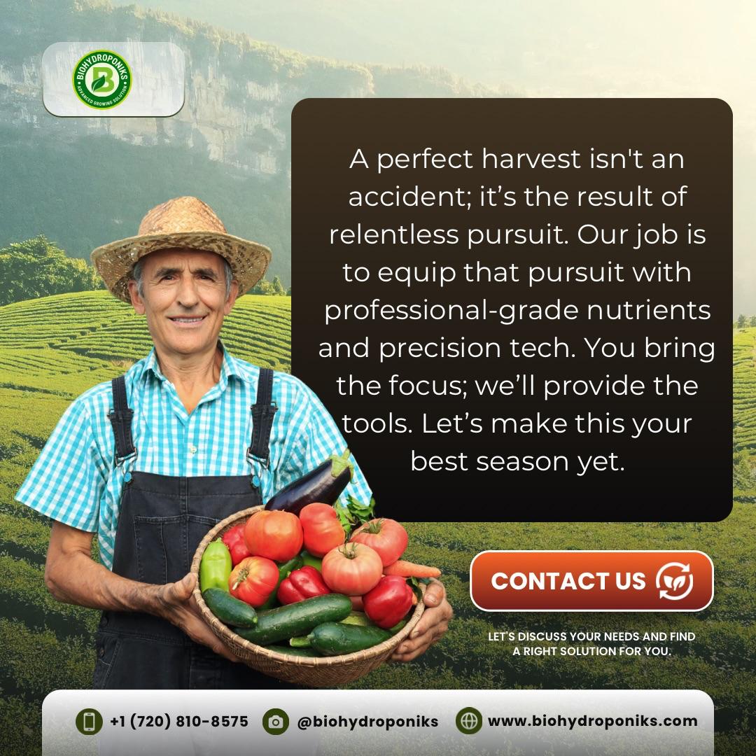 How to Maximize Yield in Your Hydroponic System