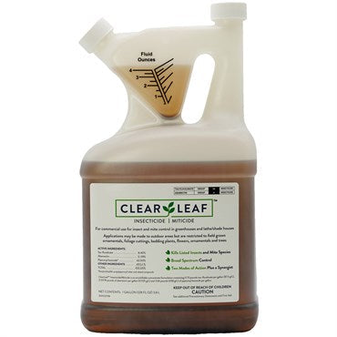 Aphid Control & Prevention