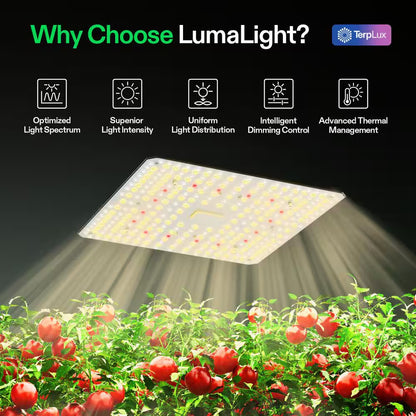 Lumalight 100-Watt Full Spectrum LED Plant Grow Light with Smart Dimmable, Warm White