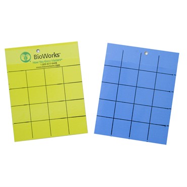 Insect Monitoring Sticky Cards 100ct | Yellow & Blue Dual-Sided