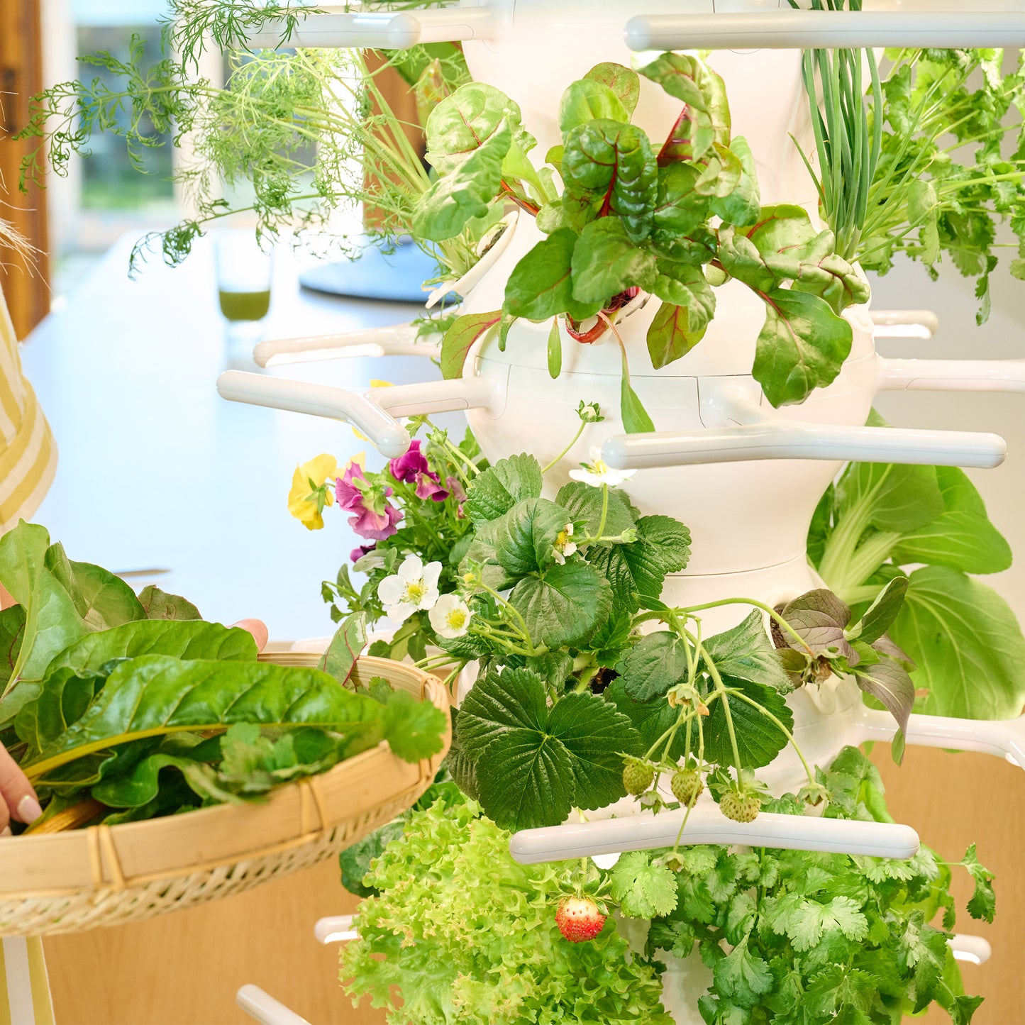 Lettuce Grow Farmstand Nook