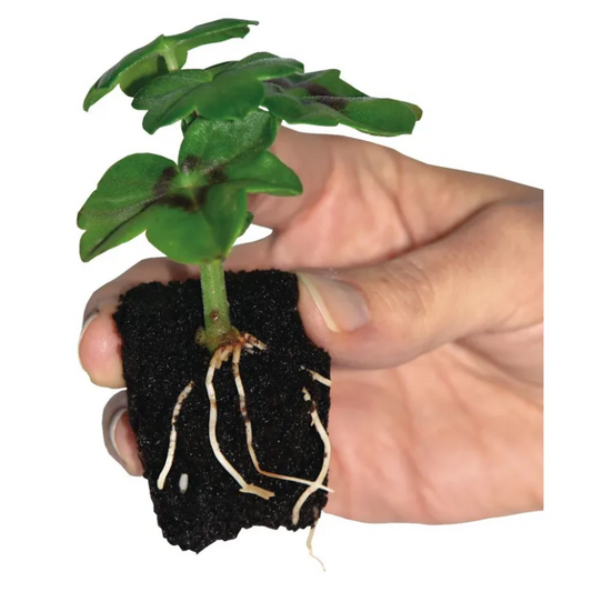 Root It! Peat Free 60 Refill Bag - My Store