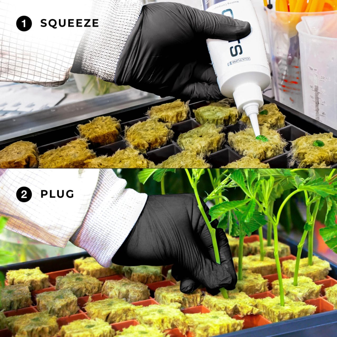 ATHENA Cuts Rooting Gel Compound 8 Ounce for plant cloning, showing the gel container and plant cuttings in a propagation tray.
