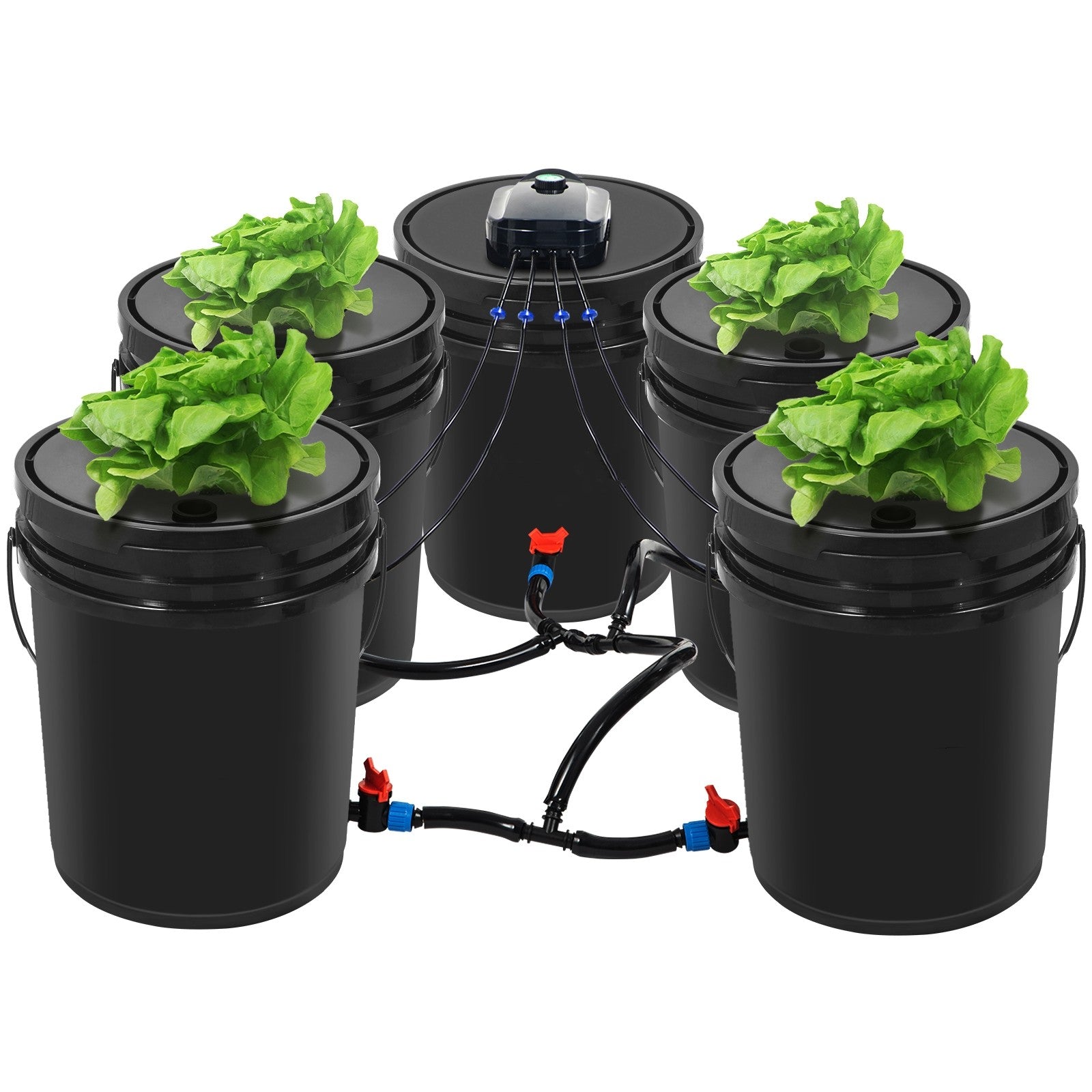 Hydroponics Deep Water Culture DWC Hydroponic System 5 Gallon 5 Buckets