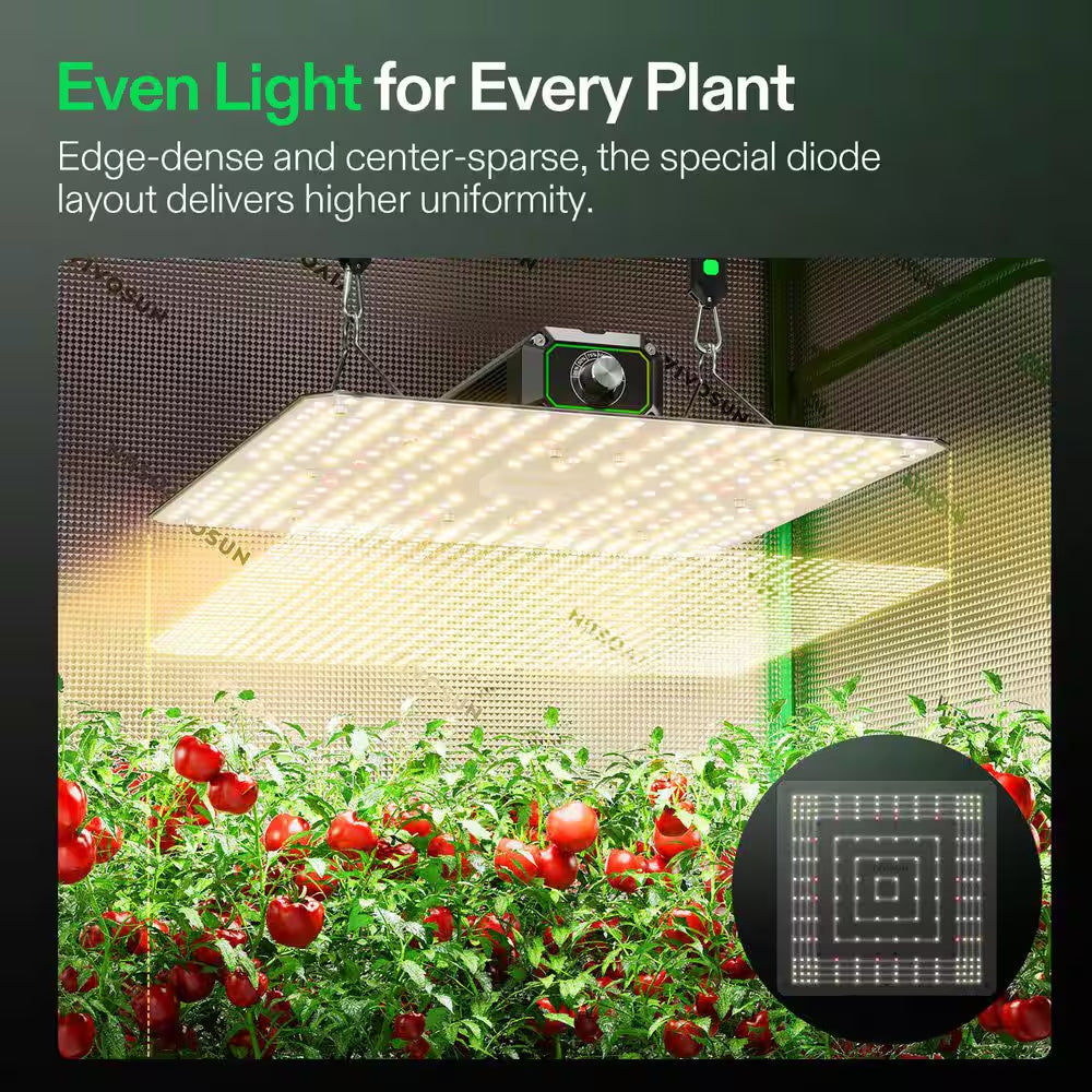 Lumalight 100-Watt Full Spectrum LED Plant Grow Light with Smart Dimmable, Warm White