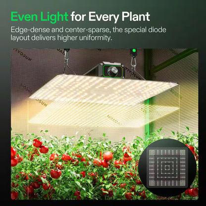 Lumalight 100-Watt Full Spectrum LED Plant Grow Light with Smart Dimmable, Warm White