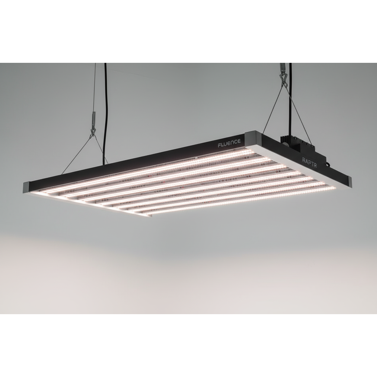 Fluence RAPTR LED grow light in 39.6-inch PhysioSpec BROAD R4 indoor spectrum, designed for plant growth and indoor gardening.