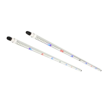 AgroMax Clone Pro 9000K 18W LED grow light 2-pack for indoor gardening and plant growth, featuring energy-efficient LED technology.
