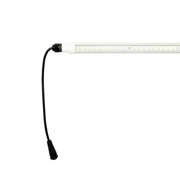 AgroMax Clone Pro 9000K 18W LED grow light, 2-pack, designed for indoor plant cultivation and optimal light spectrum.