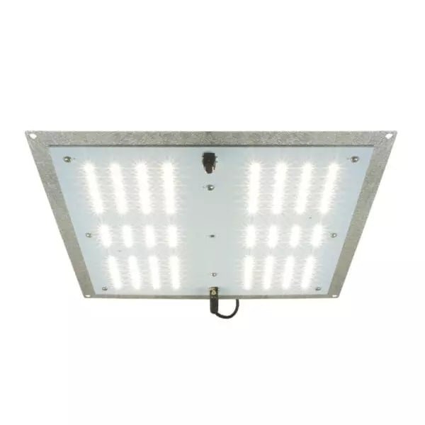 HTGSupply AgroMax RAW 65 3000K LED grow light mounted in a grow tent, featuring full-spectrum LED bulbs for indoor plant cultivation.