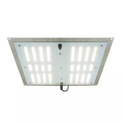 HTGSupply AgroMax RAW 65 3000K LED grow light mounted in a grow tent, featuring full-spectrum LED bulbs for indoor plant cultivation.