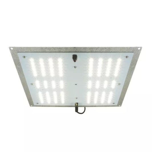 HTGSupply AgroMax RAW 65 3000K LED grow light mounted in a grow tent, featuring full-spectrum LED bulbs for indoor plant cultivation.