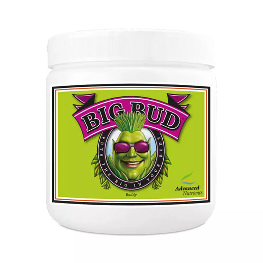 Advanced Nutrients Big Bud Powder – 500 g bloom booster powder container.