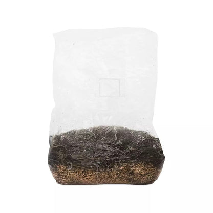 Hydroponic Mushroom Magic Grow Kit by htgsupply, featuring nutrient-rich ingredients for cultivating mushrooms at home.