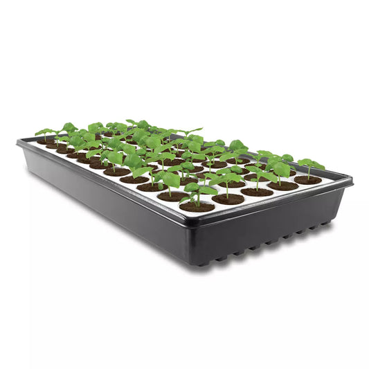 Accelerooter 55 Site Floating Seed Starter Tray professional propagation system for cannabis seed germination operations